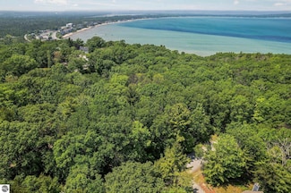 4513 Weathering Heights Rd Unit 1-4 +, Acme Township, MI 49686