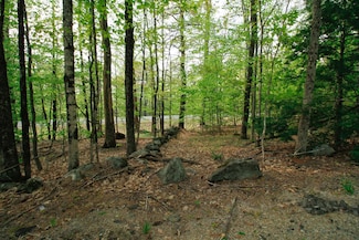 224 Lot 20 Elijah Beede Rd, Sandwich, NH 03883