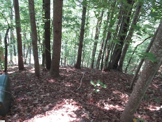 808 Whispering Falls Rd, Pickens, SC 29671