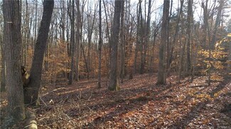 5.43 Acres Price Dr, Amelia, VA 23002