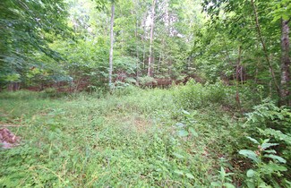 0 Boone Creek Mtn Rd, Talcott, WV 25951