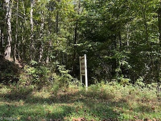 8 Arlie Myers Store Rd Unit 8, McGrady, NC 28649