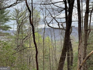 Tract D Harpers Creek Rd, Ellijay, GA 30540