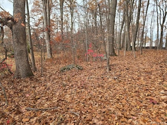 Lot 16 Newton Rd, Brinckerhoff, NY 12524
