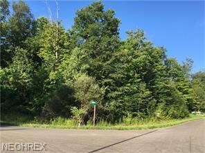 s/l 11 Scranton Woods Trail, Newbury, OH 44065