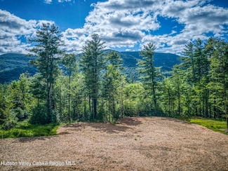 TBD Carle Rd, Mt. Tremper, NY 12498