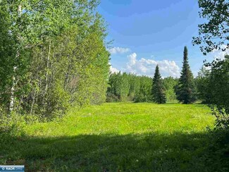 TBD Sethers Rd, Orr, MN 55771
