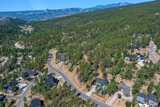 119 Cabin Creek Dr, Durango, CO 81301