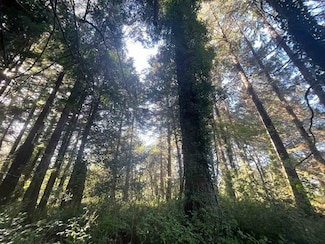 600 Tedsen Ln, Crescent City, CA 95531