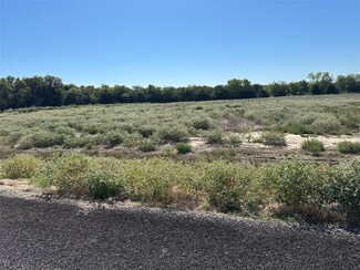 Lot 29 Willow Rd, Celeste, TX 75423