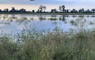 0 Missouri 162, Portageville, MO 63873