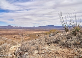 TBD W Bo Ma Trail Unit 181, San Simon, AZ 85632