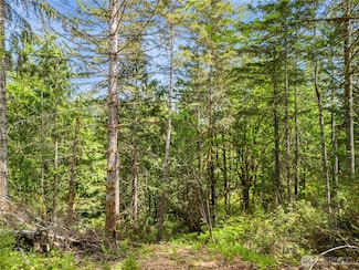 0 E Gerbing View Dr Unit NWM2372859, Union, WA 98592