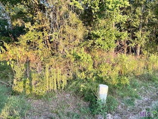 TBA 1-C Louisiana 431, Prairieville, LA 70769