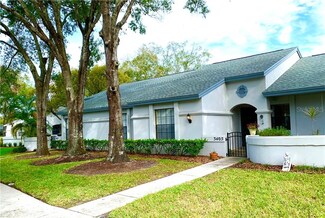 3405 Killdeer Place, Palm Harbor, FL 34685