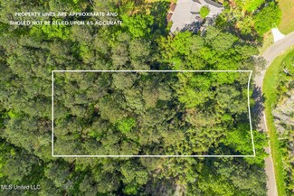 00 Steep Hollow, Hattiesburg, MS 39402