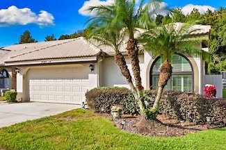 3690 Darston St, Palm Harbor, FL 34685