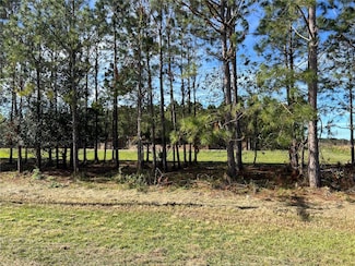 17609 Bledsoe Loop, Lithia, FL 33547