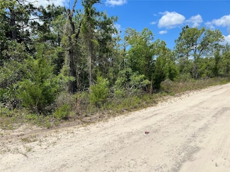 0 NE 66th Ln Unit MFRO6262642, Williston, FL 32696