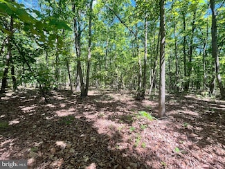 0 Elk Run Rd Unit VAFQ2013556, Midland, VA 22728