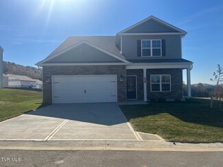 805 Magnolia Ridge Dr, Blountville, TN 37617