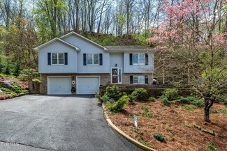 1004 Boyd Path Ct, Kingsport, TN 37660