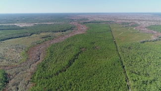 0 Otter Creek Bridge Rd, Ebro, FL 32437