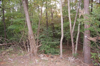Lot 53 Gap Bridge Rd, Moneta, VA 24121
