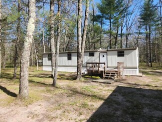 1631 W Lone Pine Dr, Baldwin, MI 49304