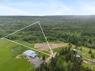 233 Allison Rd, Ethel, WA 98542