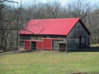 260 Cockateil Rd, Limestone, TN 37681