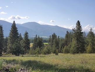 4784 Cameron Rose Ln, Stevensville, MT 59870