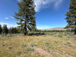 0 Sage Dr Unit Lot 12, Loyalton, CA 96118