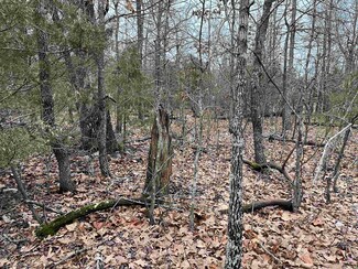 0 Tohatchi Dr, Cherokee Village, AR 72529