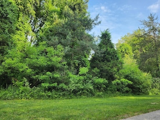 6591 Phoenix Ct SE, Alto, MI 49302