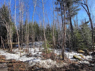 XXD Pine Peak Rd, Lutsen, MN 55612