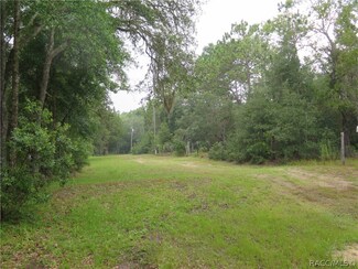 1467 W Milan Ln, Hernando, FL 34442