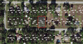 3897 E Scotty St, Inverness, FL 34453
