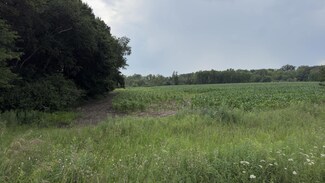 xxx Athens Trail, Stacy, MN 55079