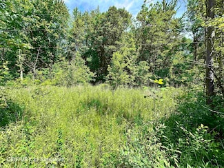 VL Dale Rd, Beaverton, MI 48612