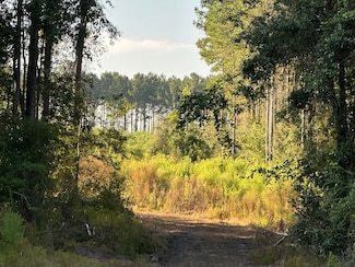 Tract#6201 Doyle Morgan Rd, Defuniak Springs, FL 32433
