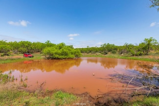 0 County Road 121 Unit 23368849, Trent, TX 79556