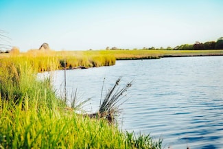 375274 Green Valley Trail, Hillister, TX 77624