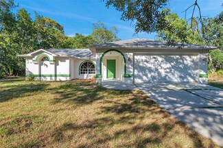 12240 Eakin St, Weeki Wachee, FL 34614