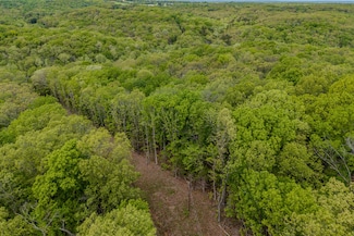 000 Pandamonium Way, Pittsburg, MO 65724