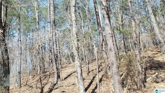 0 County Road 520 Unit 1 21419020, Verbena, AL 36091