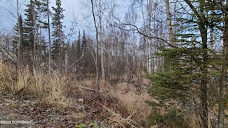 9111 W Sammie Cir, Wasilla, AK 99623