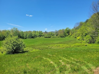 Lot91 Eastern District Rd, Danbury, NH 03230
