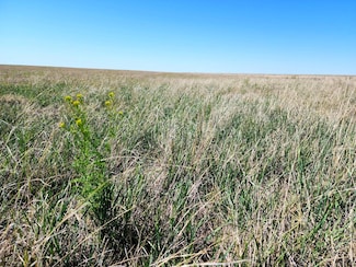 0 County Rd N, Chivington, CO 81036