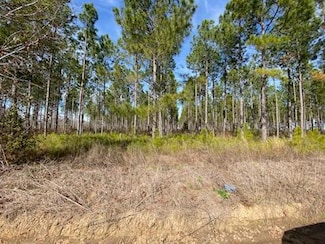 0 Huskey Rd, Dothan, AL 36303